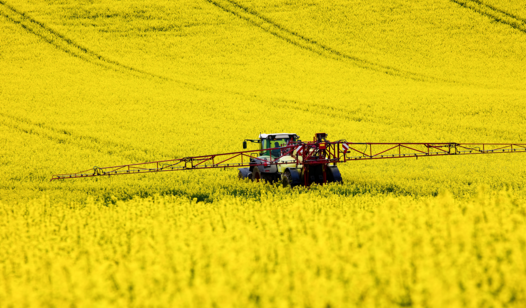 Traktor mit großer Feldspritze in gelbem Feld